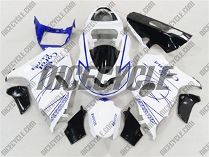 Suzuki TL1000R Fairing