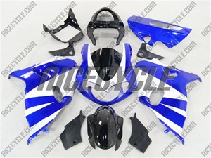 Suzuki TL1000R Fairing