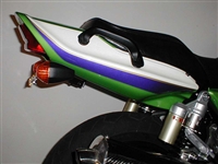 Kawasaski Fender Eliminator