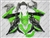 Kawasaki Ninja 300 Special Edition Fairings