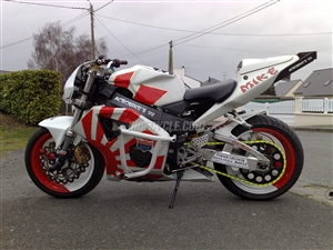 Honda CBR 929RR 954RR Stunt Cage