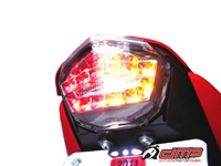 Kawasaki Ninja 250R Tail Light