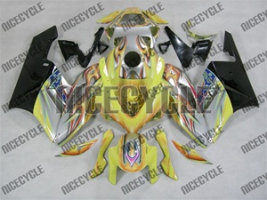 Airbrushed Motorcycle Fairing