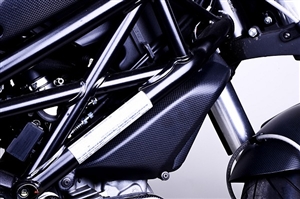 Ducati Monster Carbon Fiber