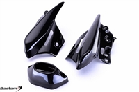 Kawasaki Carbon Fiber Part