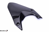 Triumph Daytona Carbon Fiber Part