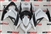 White/Black Kawasaki Ninja 300 Fairings