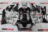 Motorcycle Fairings Kit - 1998-1999 Honda CBR 900RR Flamed Silver Fairings