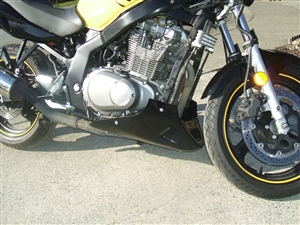 Suzuki GS500 Bellypan Gloss Black