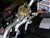 KTM 990 Super Duke Scott's Steering Damper