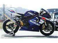 SUZUKI GSX-R1000  ('00-'04)/GSX-R750/600  ('96-'99)('00-'05)/SV650/S  ('99-'02)('03-'12*) Rear Sets