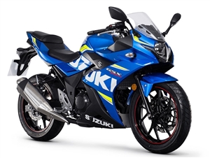 Motorcycle Fairings Kit - 2017-2020 Suzuki GSX250R Fairings | SZK2