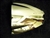 KAWASAKI ZX12R 02-05 CHROME PLATED WINDSCREEN