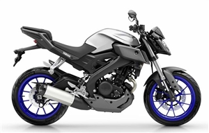 Motorcycle Fairings Kit -2015 Yamaha  MT 125 Fairings | YMA12