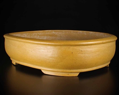 Senkouen, Tokoname bonsai pot - Artist ; Mr. Hanno Souhei