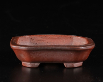 Bigei ,Tokoname bonsai pot-Artist Mr. Hirata Atsumi