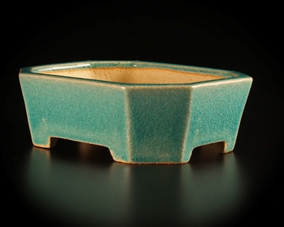 Shibakatsu, Tokoname bonsai pot -  Artist, Shibata Shouichi