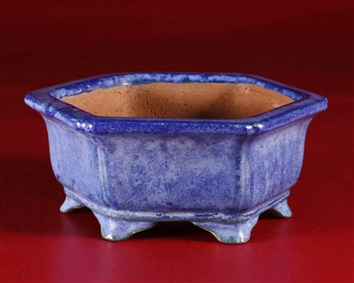 Shibakatsu, Tokoname bonsai pot -  Artist, Shibata Shouichi