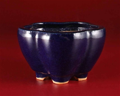 BOTANIZE × SATOSHI TAMAMURA ART Pot BV57A14-2T.jpg?v-cache=1744379381
