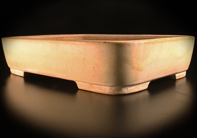 Yoshimura,Tokoname bonsai pot- Artist - Masters Syuho