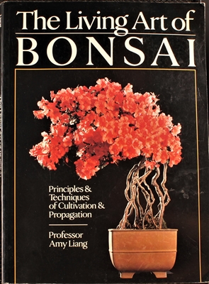 Bonsai Books