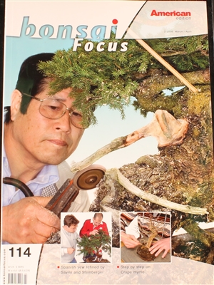 Bonsai Focus