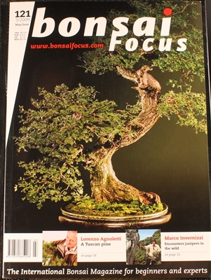 Bonsai Focus