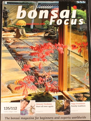 Bonsai Focus