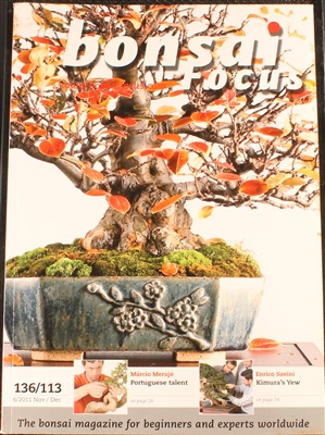 Bonsai Focus