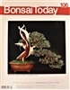 Bonsai Today