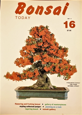 Bonsai Today