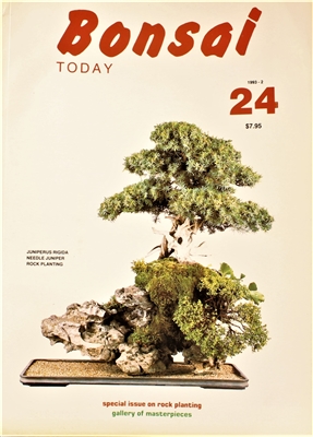 Bonsai Today