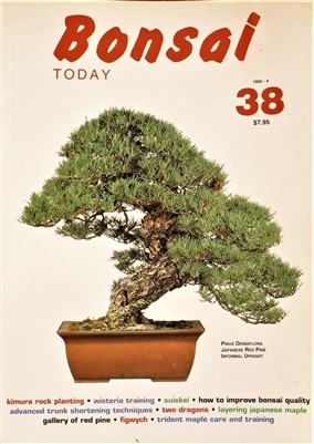 Bonsai Today