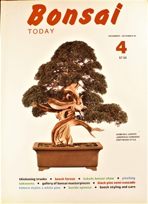 Bonsai Today