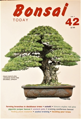 Bonsai Today