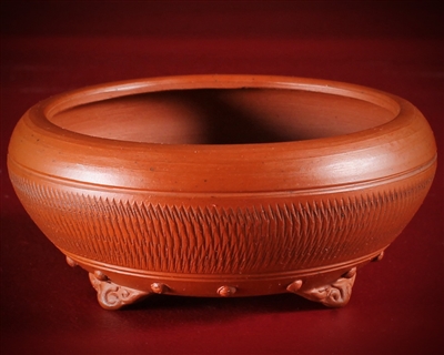 Bigei ,Tokoname bonsai pot-Artist Mr. Hirata Atsumi ( Collectors Edition )