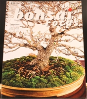 Bonsai Focus