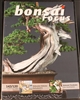 Bonsai Focus