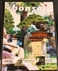 Bonsai Focus