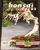 Bonsai Focus