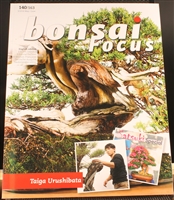 Bonsai Focus