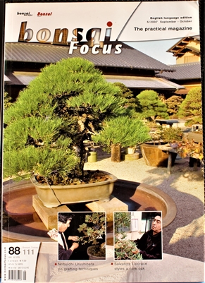 Bonsai Focus