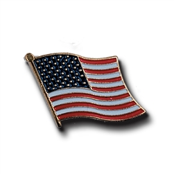 USA Flag Pin