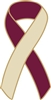 Head & Neck Cancer Awareness Ribbon Pin - Burgundy/Ivory