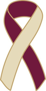 Head & Neck Cancer Awareness Ribbon Pin - Burgundy/Ivory