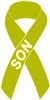 Lymphoma Cancer Awareness Ribbon Pin - Lime Green