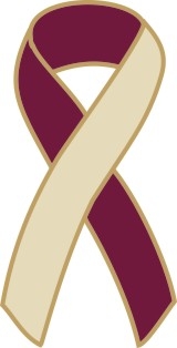 1" Cancer Awareness Ribbon Pins - Burgundy/Ivory