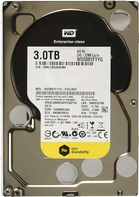 Western Digital WD3001FYYG