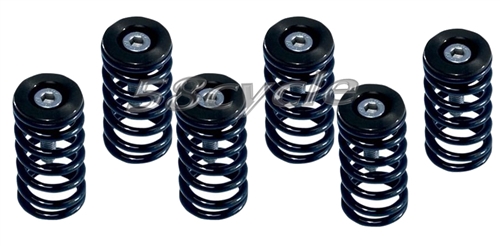 Ducati Barnett Coil Clutch Springs Kit with Cups - 519-25-06095 (Black Cups)