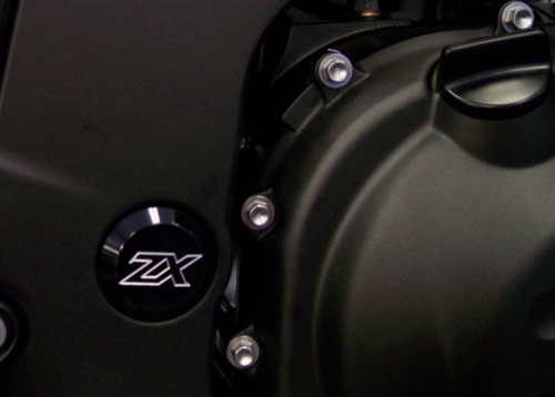 2006-2011 Kawasaki ZX14 Limited Edition Swingarm Frame Caps with Engraved Logo